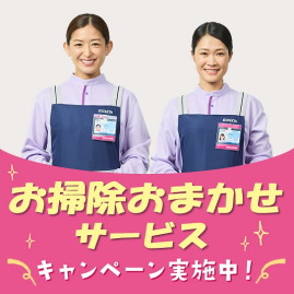 定期サービス2回お試しキャンペーン